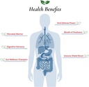 foods-for-gut-vital-formula-12-strain-pr-4.jpg