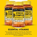 mason-natural-stress-b-complex-with-anti-4.jpg