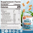 lilicare-vitamin-b-complex-filled-gummie-6.jpg