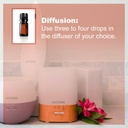 doterra-cinnamon-essential-oil-5-ml-4.jpg
