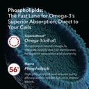 100-pure-organic-antarctic-krill-oil-100-4.jpg