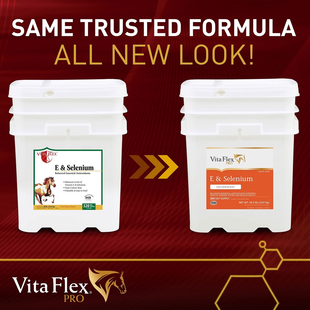 vita-flex-pro-e-selenium-supplement-vita-2.jpg