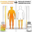 hormonal-digestive-immune-support-bundle-4.jpg