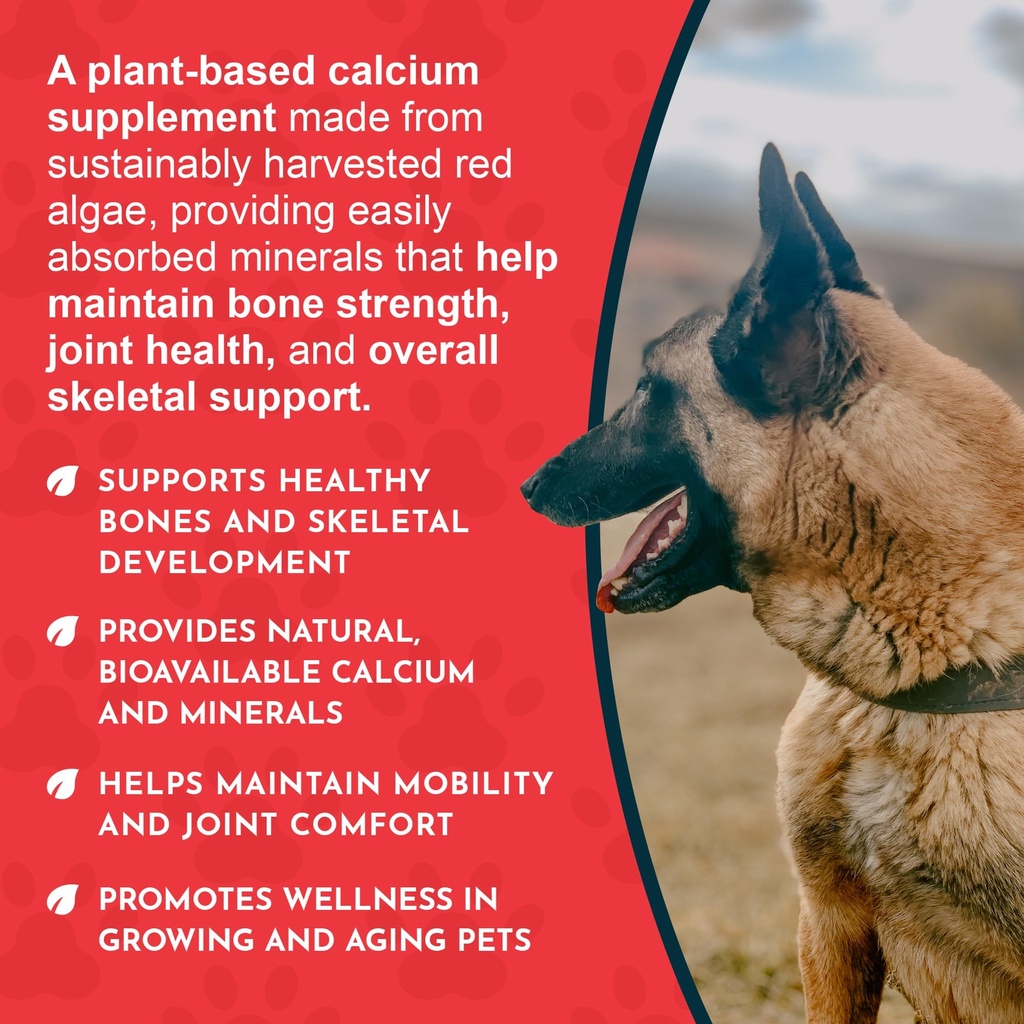 animal-essentials-seaweed-calcium-supple-5.jpg