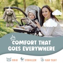 gemma-joy-baby-sleep-soother-bunny-11-in-5.jpg