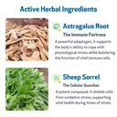 pet-wellbeing-life-gold-for-dogs-vet-for-3.jpg