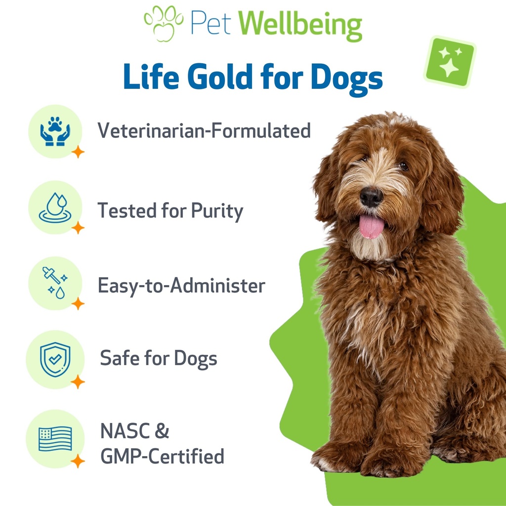 pet-wellbeing-life-gold-for-dogs-vet-for-6.jpg