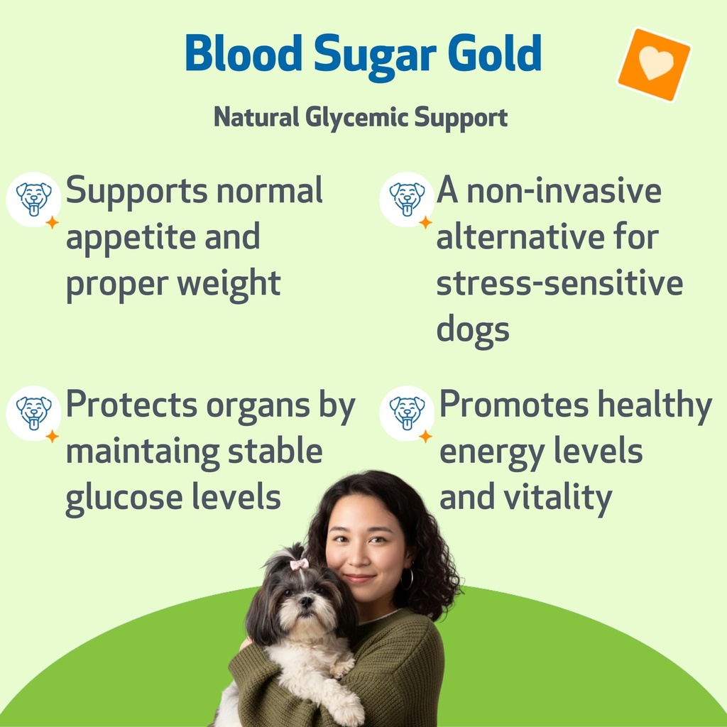 pet-wellbeing-blood-sugar-gold-dogs-holi-2.jpg