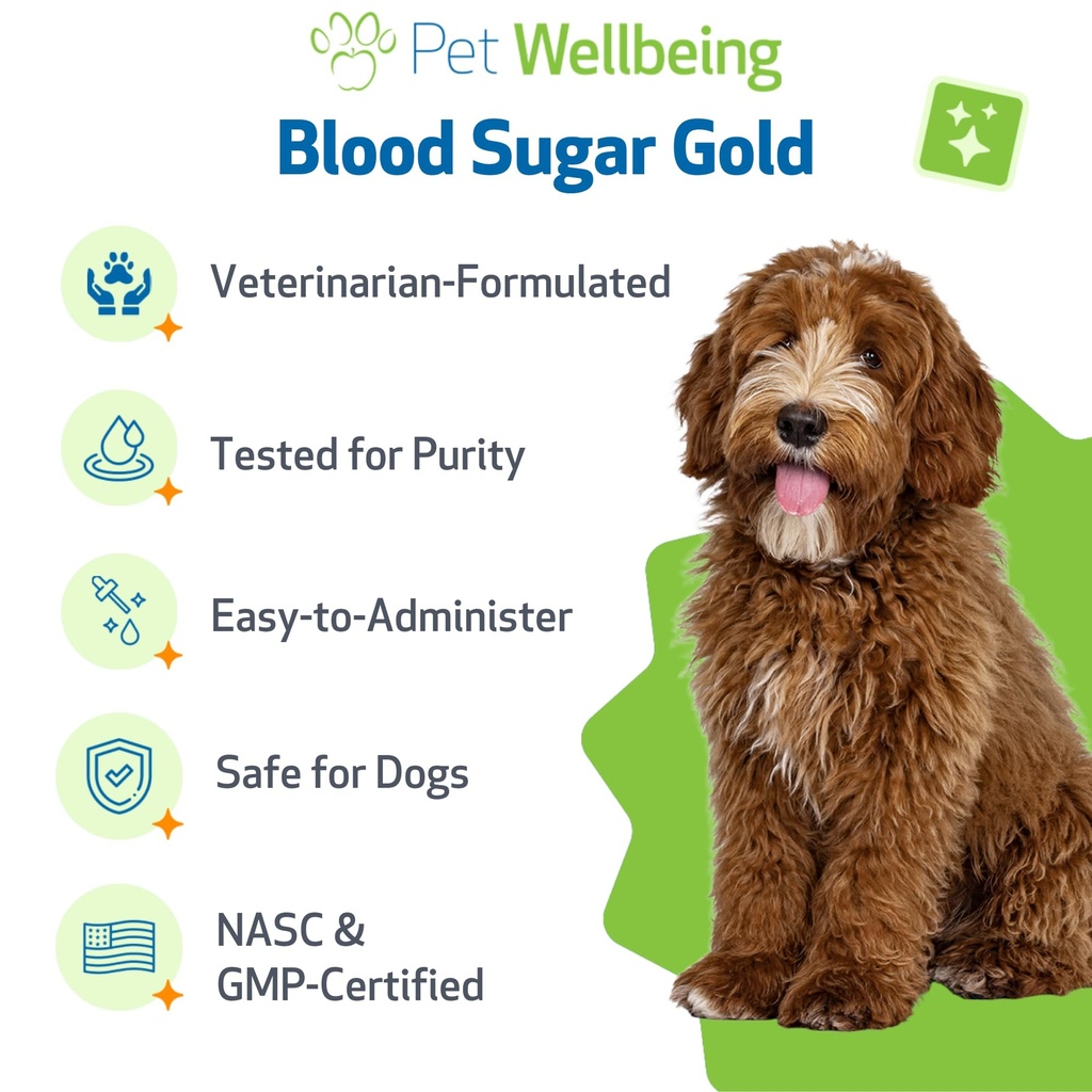 pet-wellbeing-blood-sugar-gold-dogs-holi-5.jpg