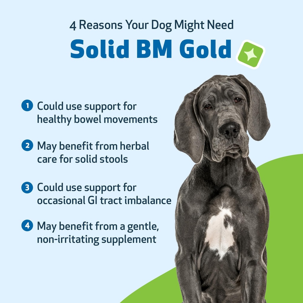 pet-wellbeing-solid-bm-gold-for-dogs-sup-3.jpg