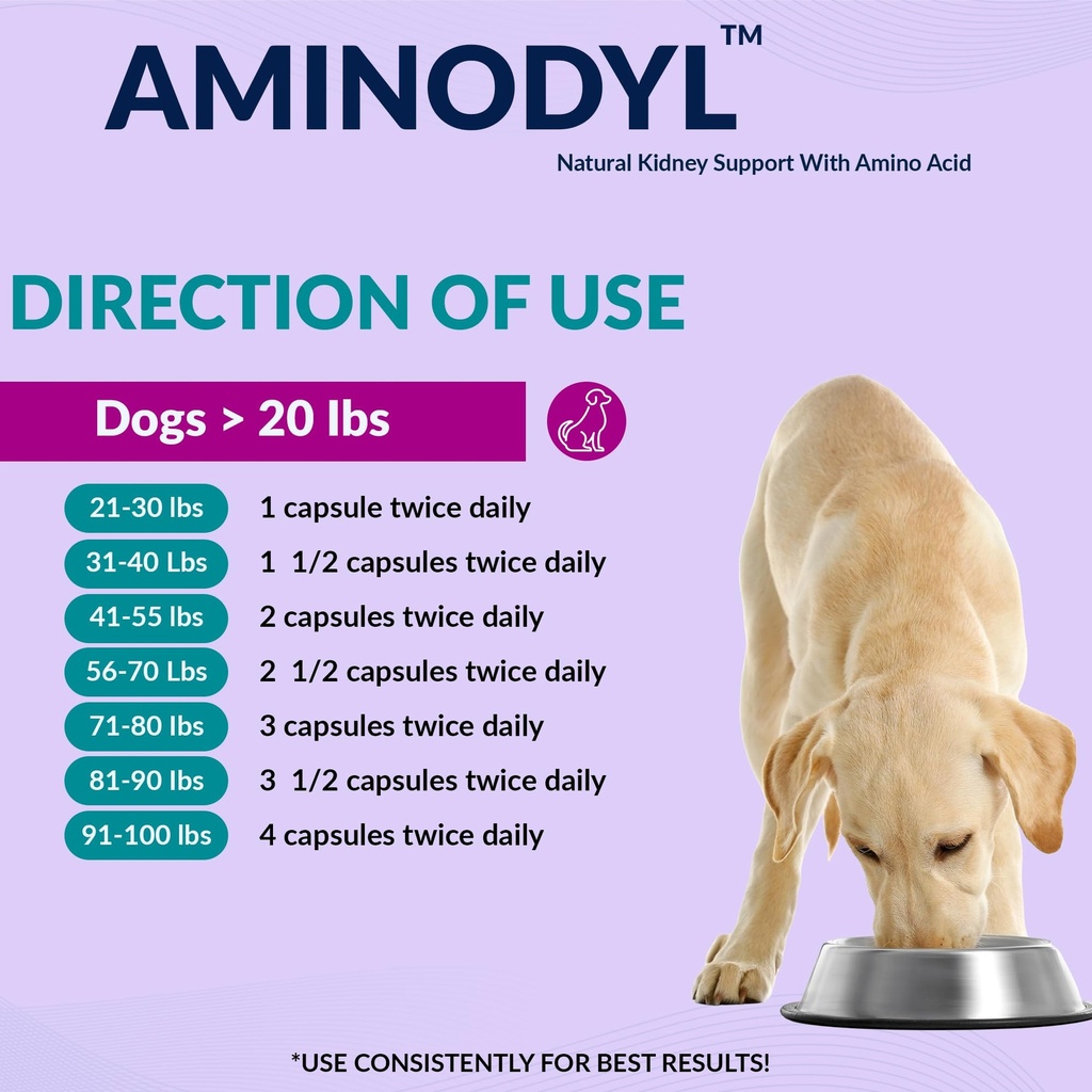 aminodyl-kidney-support-supplement-1100m-4.jpg