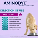 aminodyl-kidney-support-supplement-1100m-4.jpg