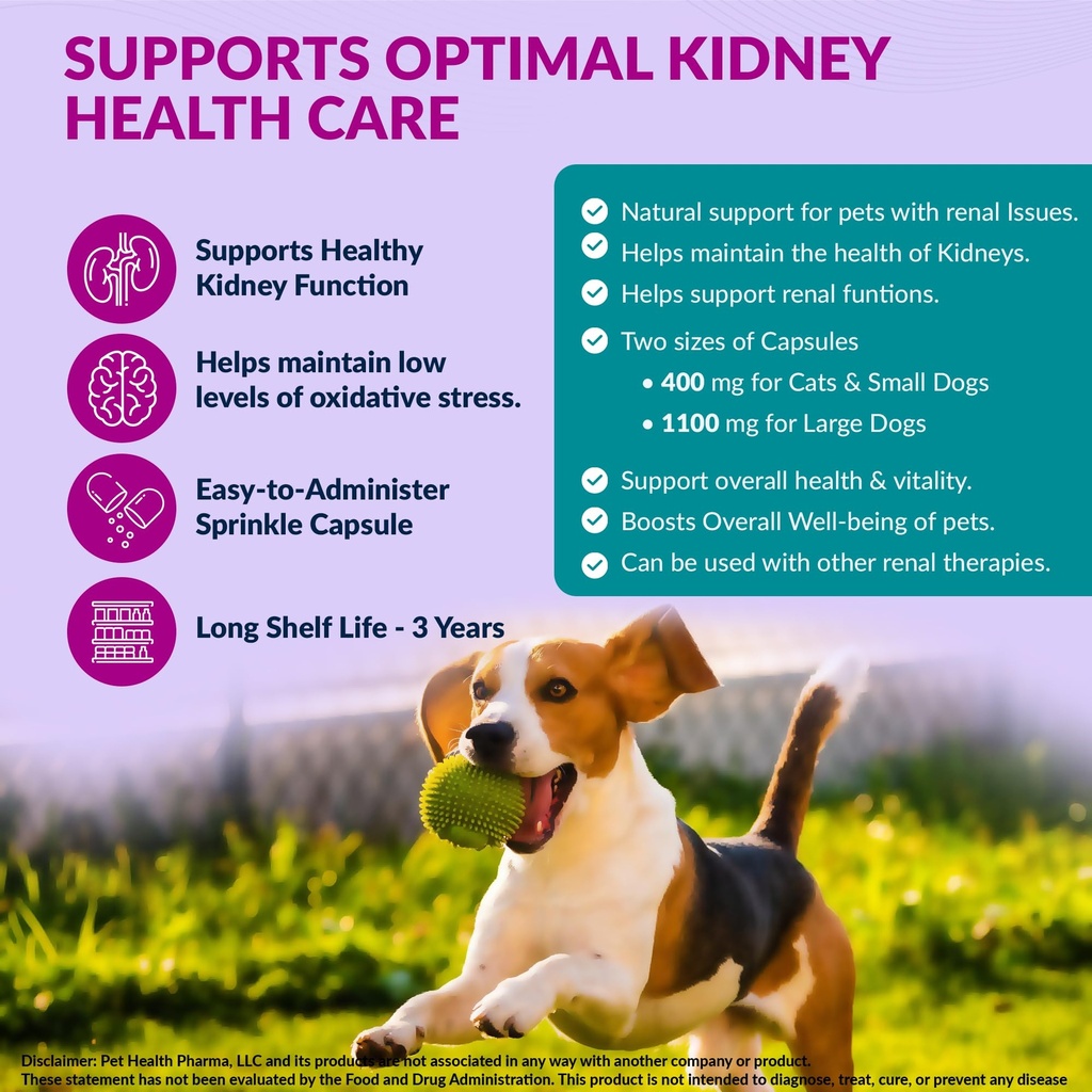 aminodyl-kidney-support-supplement-1100m-2.jpg