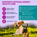aminodyl-kidney-support-supplement-1100m-2.jpg