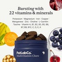 petlab-co-22-in-1-dog-multivitamin-suppo-4.jpg