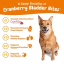 zesty-paws-cranberry-supplement-for-dogs-2.jpg