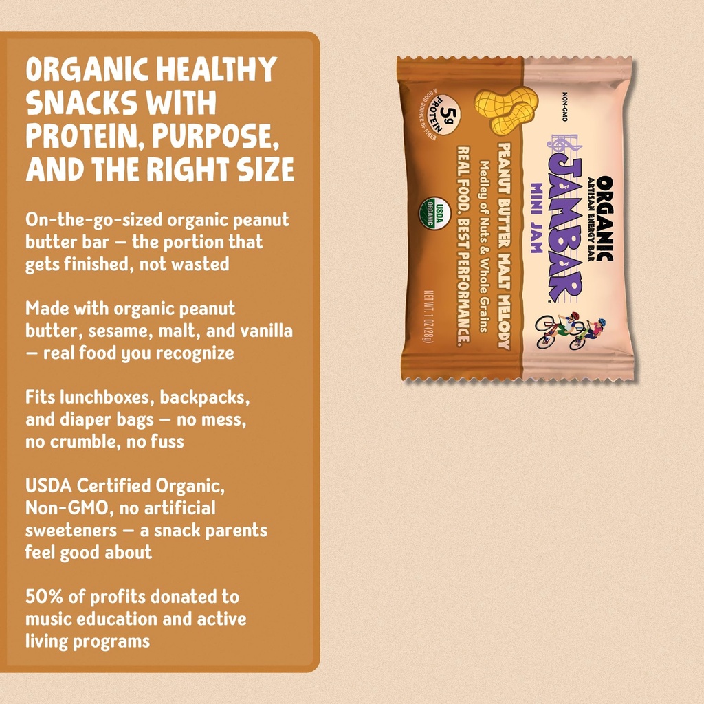 jambar-mini-energy-bars-organic-protein--4.jpg