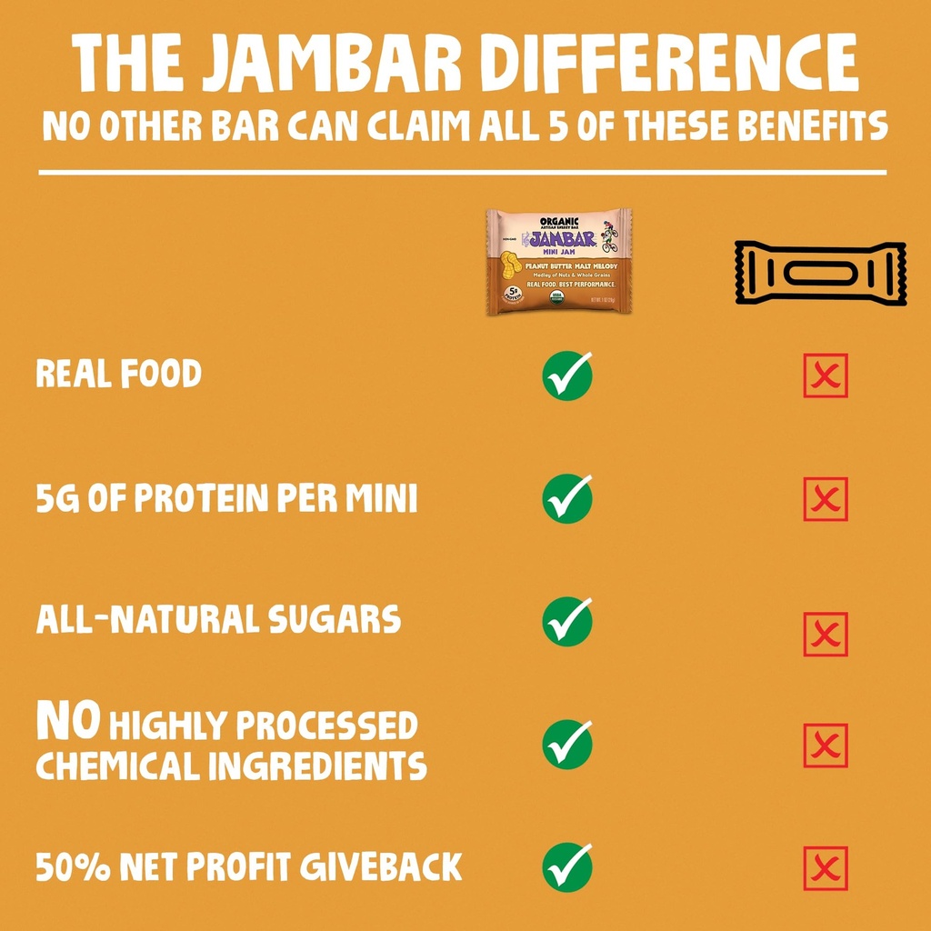 jambar-mini-energy-bars-organic-protein--5.jpg