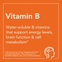 now-supplements-vitamin-b-100-sustained--4.jpg