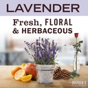 mrs-meyer-s-clean-day-antibacterial-hand-3.jpg