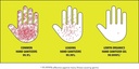 lemyn-organics-medical-grade-hand-saniti-5.jpg