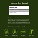 swanson-lactobacillus-gasseri-probiotic--4.jpg