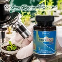 rheubeatplus-market-proven-herbal-blood--5.jpg