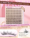 short-lash-clusters-8-14mm-natural-eyela-5.jpg