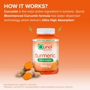 qunol-zero-sugar-turmeric-gummies-vegeta-2.jpg