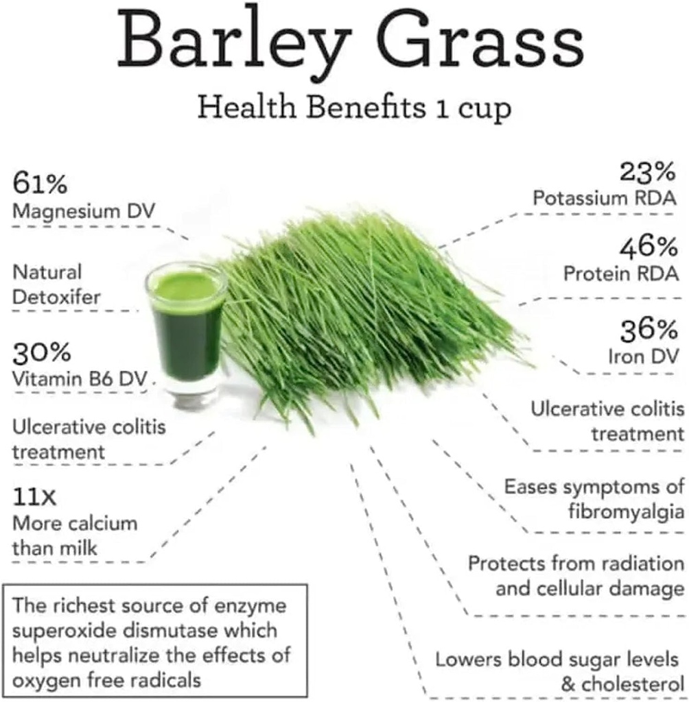 2023-new-organic-barley-grass-powder-pur-2.jpg