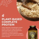 healthforce-superfoods-warrior-food-prot-4.jpg