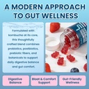 probiotic-kombucha-gummies-for-digestive-6.jpg