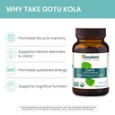 himalaya-usda-organic-gotu-kola-capsules-4.jpg