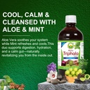 basic-ayurveda-maha-triphala-juice-16-23-3.jpg