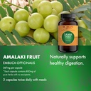 sama-digest-premium-traditional-ayurvedi-2.jpg