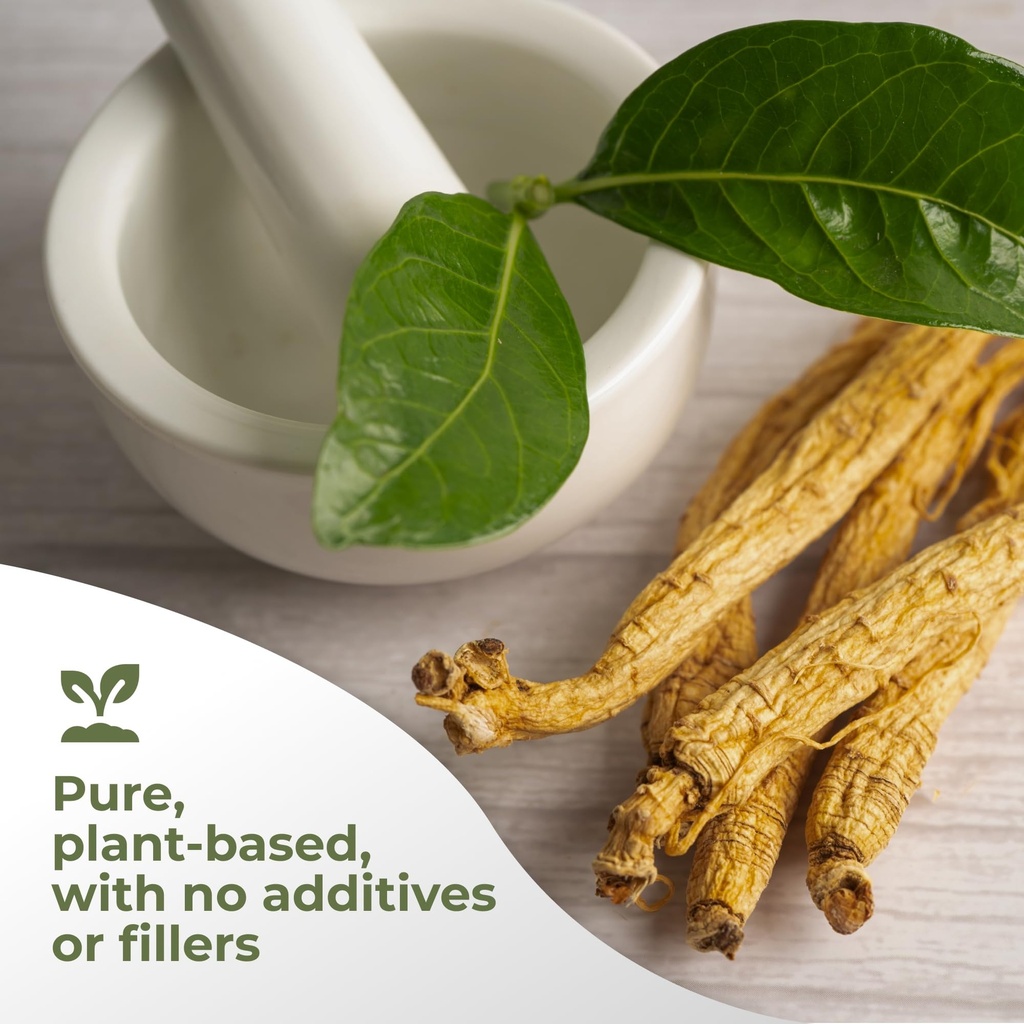 gade-nutrition-american-ginseng-extract--5.jpg