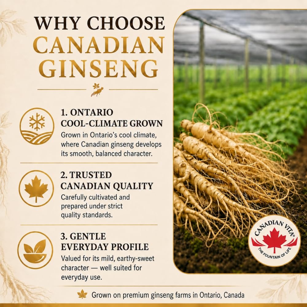 canadian-ginseng-capsules-500mg-panax-qu-3.jpg