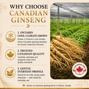 canadian-ginseng-capsules-500mg-panax-qu-3.jpg