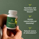 triphala-capsules-500mg-traditional-ayur-6.jpg