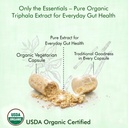 triphala-capsules-500mg-traditional-ayur-2.jpg
