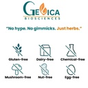 usda-organic-haritaki-terminalia-chebula-2.jpg