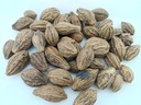 badi-harad-whole-aralu-inknut-haritaki-k-4.jpg