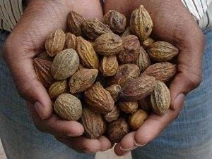 badi-harad-whole-aralu-inknut-haritaki-k-3.jpg