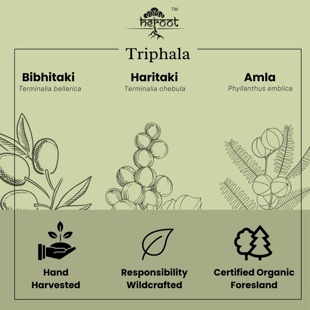 triphala-powder-capsules-500mg-100-pure--5.jpg