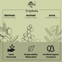 triphala-powder-capsules-500mg-100-pure--5.jpg