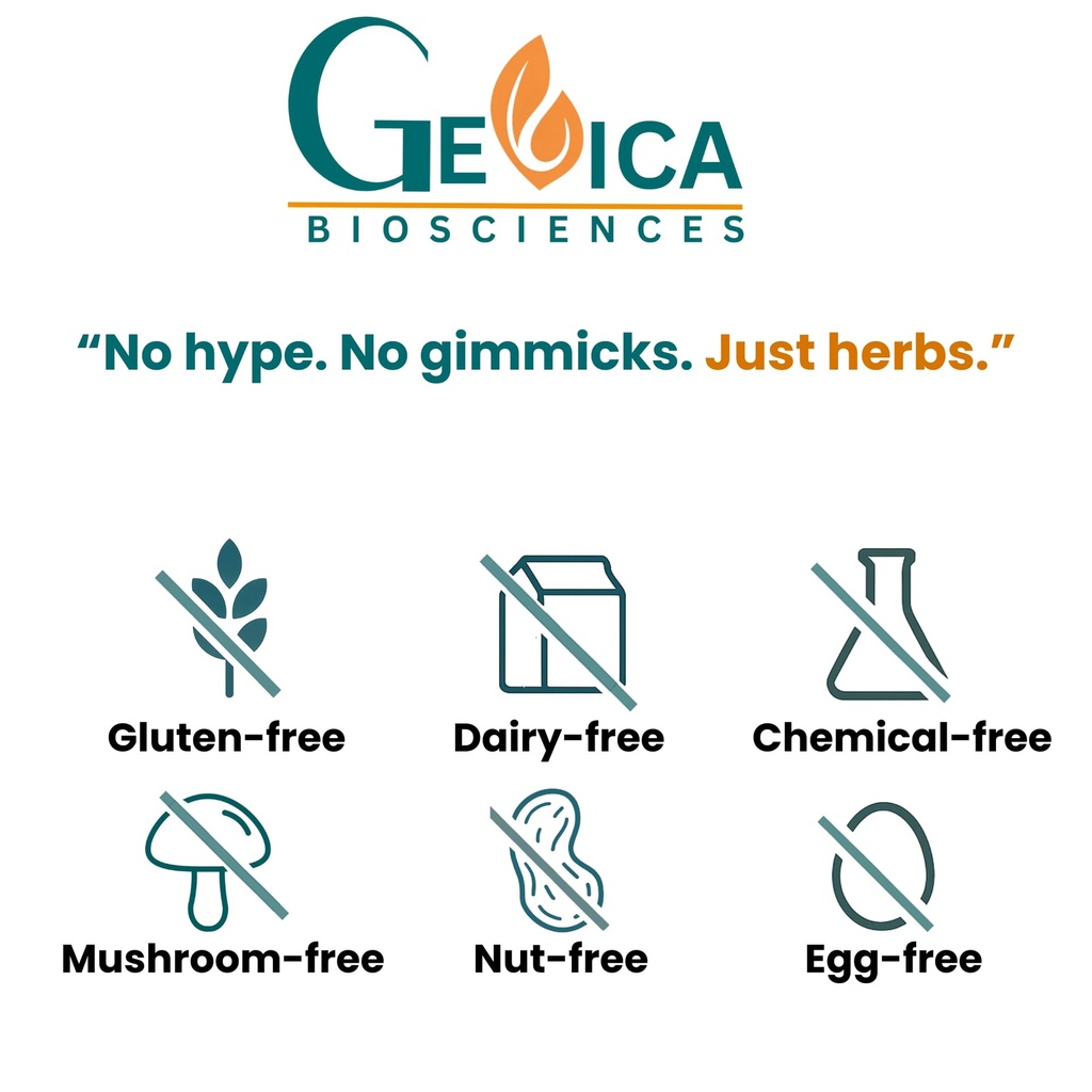 usda-organic-haritaki-terminalia-chebula-2.jpg
