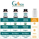 usda-organic-haritaki-terminalia-chebula-4.jpg