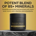 alcami-premium-himalayan-shilajit-resin--6.jpg