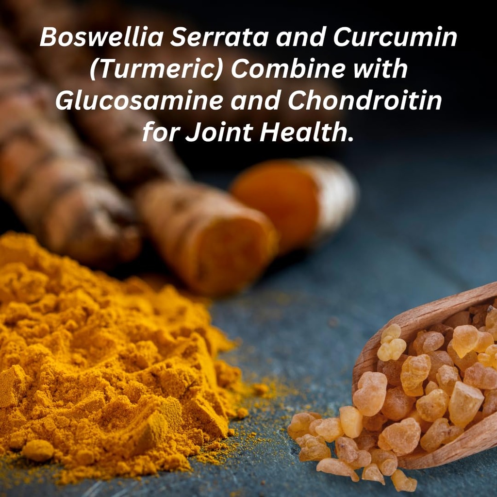 invigoflex-glucosamine-chondroitin-sulfa-6.jpg