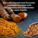 invigoflex-glucosamine-chondroitin-sulfa-6.jpg